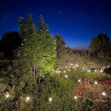 Glamping San Bart Hotel San Vincenzo Exterior foto